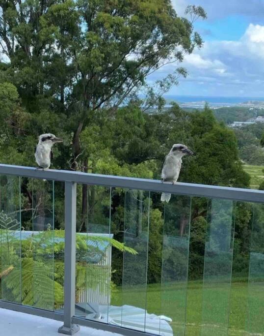 Apartmán Ocean View Oasis, Coffs Harbour Exteriér fotografie